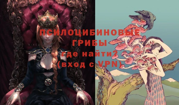 apvp Арсеньев