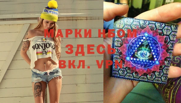 apvp Аркадак