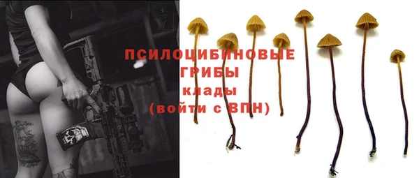 apvp Аркадак